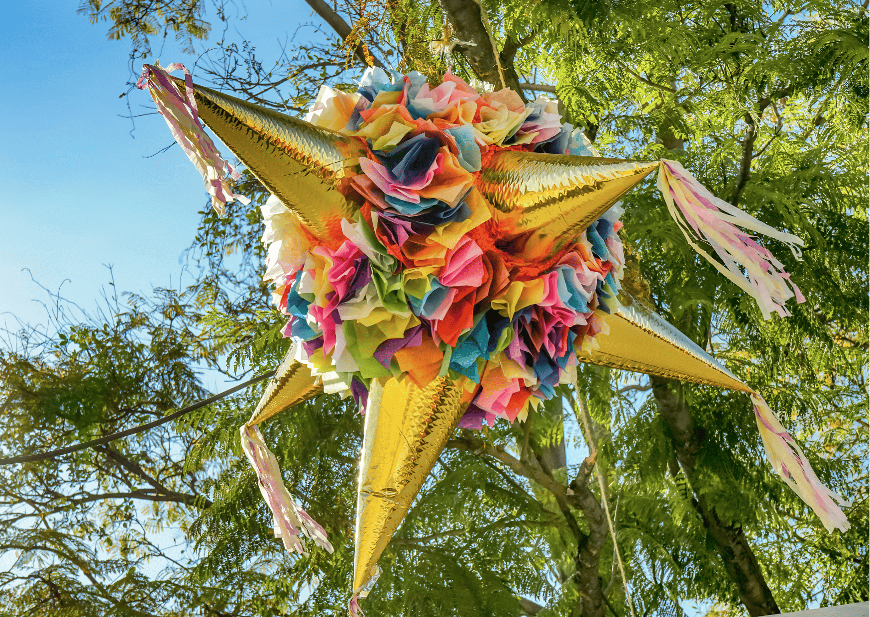 Oaxaca Christmas Traditions: Christmas Traditions in Oaxaca Mexico to Experience 13 Oaxaca Christmas Traditions: Christmas Traditions in Oaxaca Mexico to Experience
