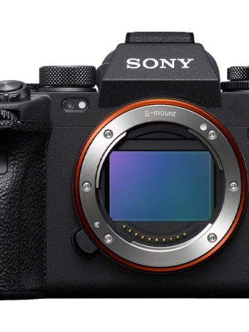 Why Mirrorless Cameras are a Must-Have