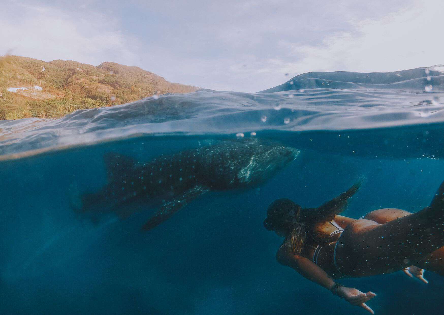 How to get from Manila to Donsol Best Way, cheapest way from Manila to Donsol, best way from Manila to Donsol, bus from from Manila to Donsol, bus schedule from Manila to Donsol, bus fare from Manila to Donsol