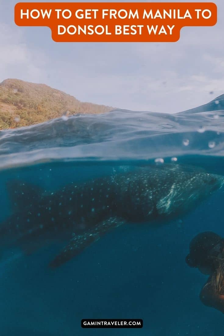 How to get from Manila to Donsol Best Way, cheapest way from Manila to Donsol, best way from Manila to Donsol, bus from from Manila to Donsol, bus schedule from Manila to Donsol, bus fare from Manila to Donsol
