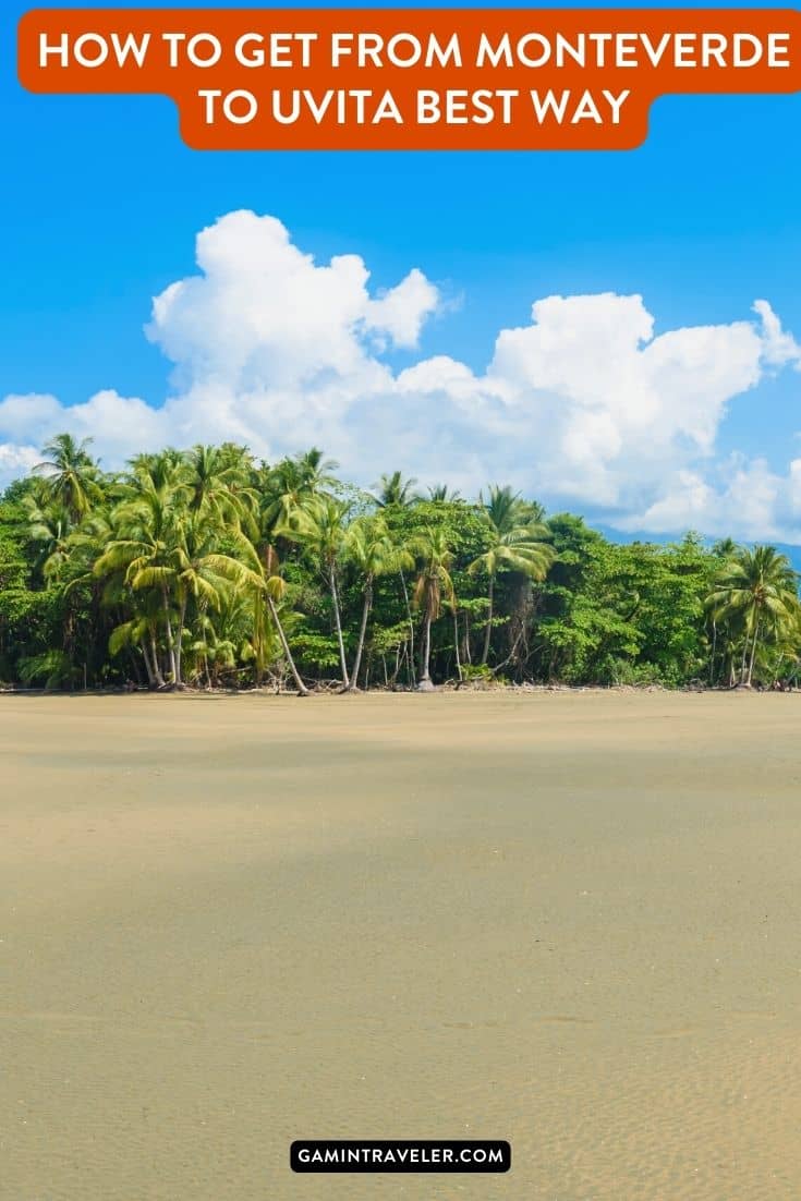 How To Get From Monteverde to Uvita Best Way, cheapest way from Monteverde to Uvita, Monteverde to Uvita, Monteverde costa rica to Uvita, Monteverde to Uvita bus, Monteverde to Uvita costa rica, best way from Monteverde to Uvita, shuttle from monteverde to Uvita, van shuttle from monteverde to Uvita
