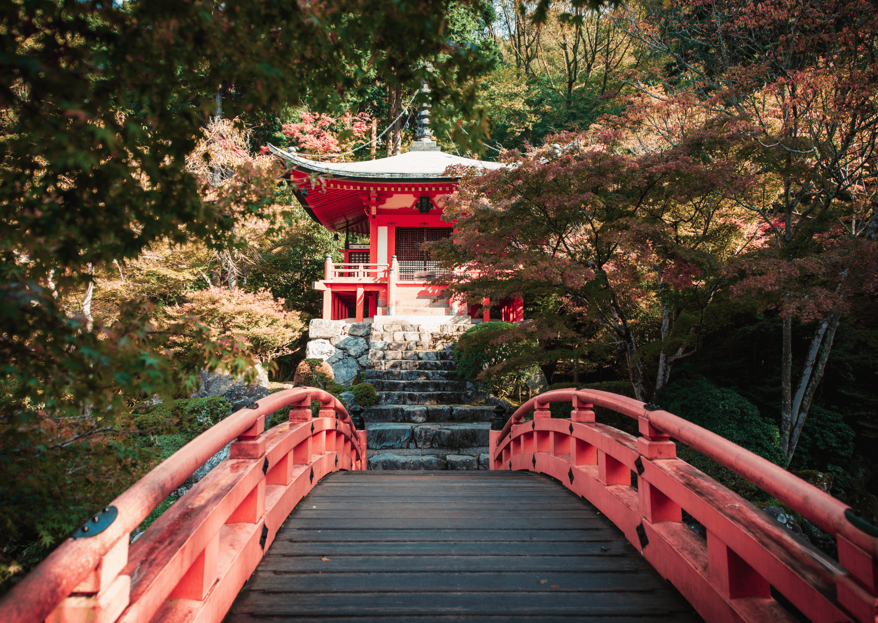 Things To Know Before Visiting Japan_ Daigoji Temple in Kyoto Japan