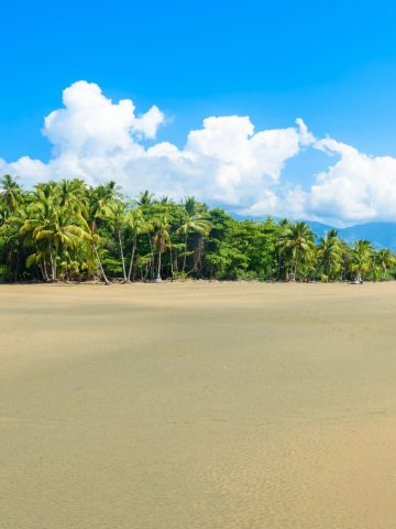 How To Get From Monteverde to Uvita Best Way, cheapest way from Monteverde to Uvita, Monteverde to Uvita, Monteverde costa rica to Uvita, Monteverde to Uvita bus, Monteverde to Uvita costa rica, best way from Monteverde to Uvita, shuttle from monteverde to Uvita, van shuttle from monteverde to Uvita