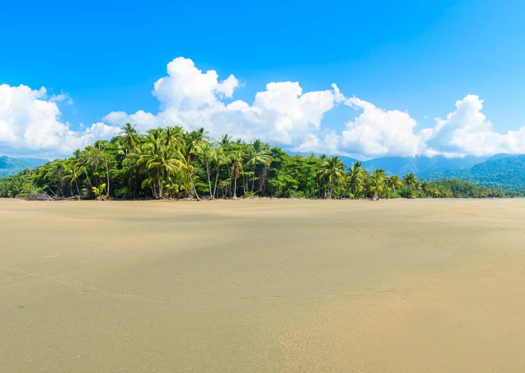 How To Get From Monteverde to Uvita Best Way, cheapest way from Monteverde to Uvita, Monteverde to Uvita, Monteverde costa rica to Uvita, Monteverde to Uvita bus, Monteverde to Uvita costa rica, best way from Monteverde to Uvita, shuttle from monteverde to Uvita, van shuttle from monteverde to Uvita