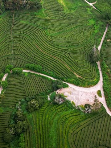 azores-sim-card-guide-azores-sim-cards-azores-airport-sim-card