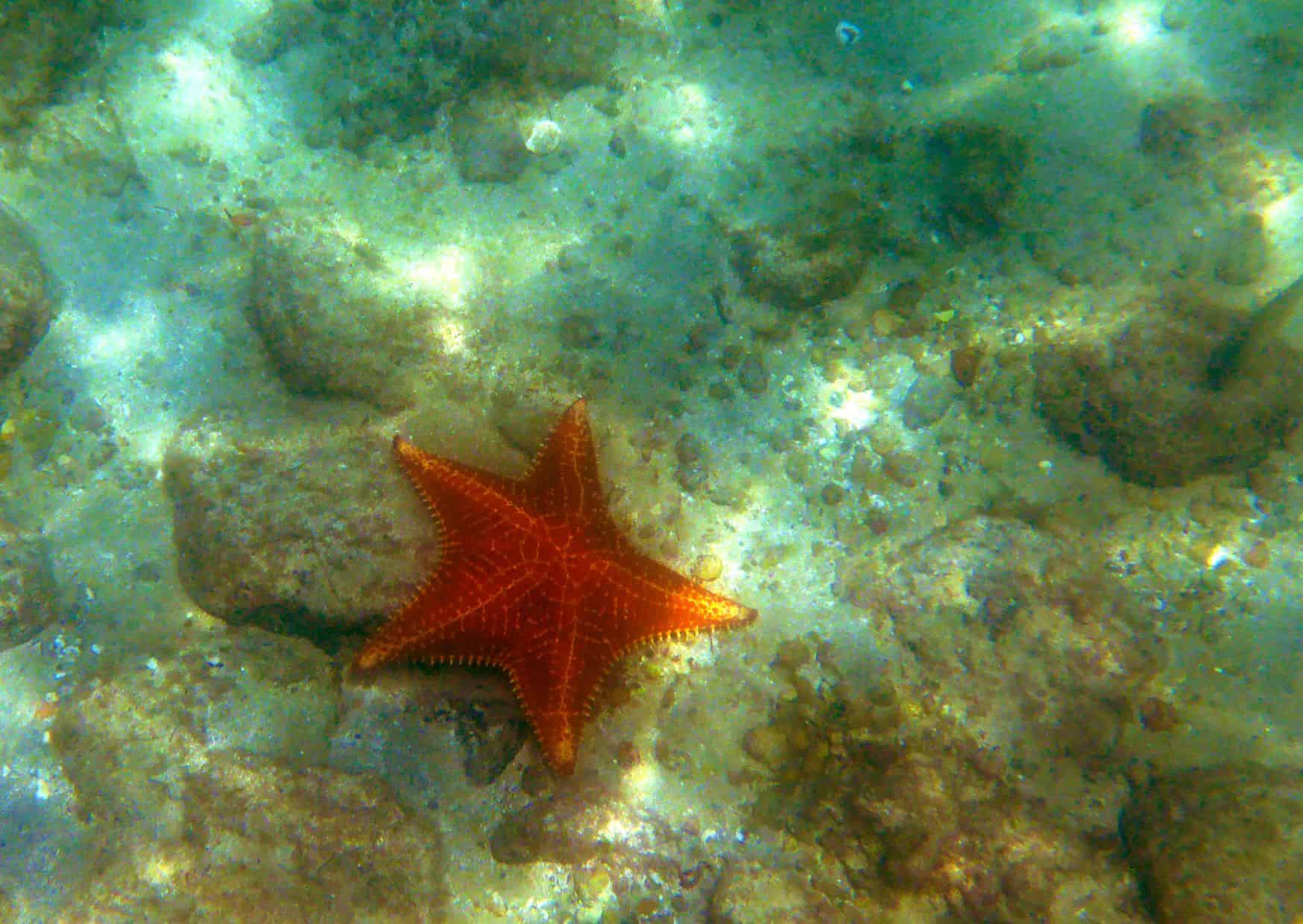 How To Get From Rio de Janeiro to Ilha Grande Best Way, cheapest way from Rio de Janeiro to Ilha Grande, Rio de Janeiro to Ilha Grande, bus from Rio de Janeiro to Ilha Grande, taxi from Rio de Janeiro to Ilha Grande, shared van from Rio de Janeiro to Ilha Grande, Uber from Rio de Janeiro to Ilha Grande, taxi from Rio de Janeiro to Ilha Grande, best way from Rio de Janeiro to Ilha Grande