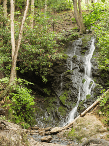 Planning a trip to North Carolina - The Great Smoky Mountains