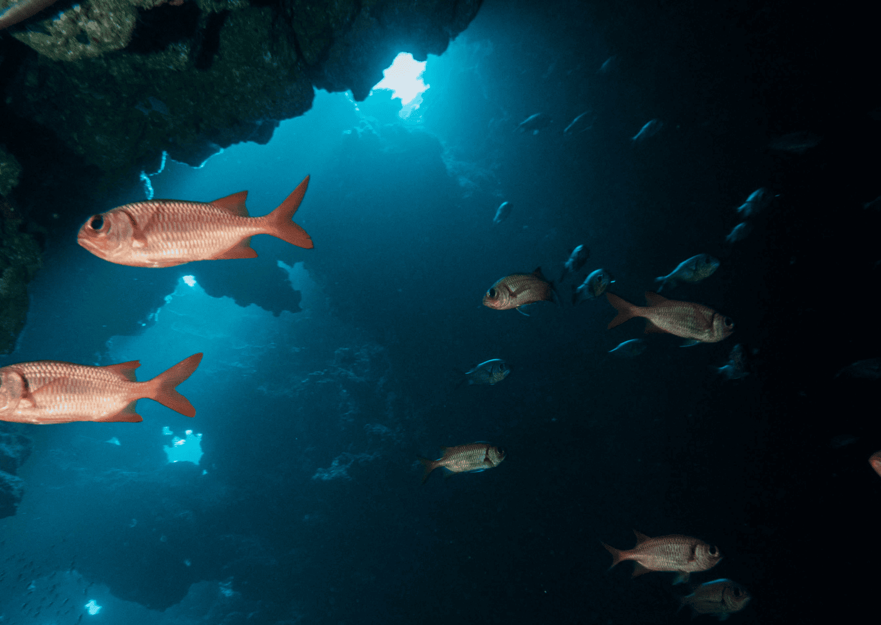 hawaii vs bahamas, bahamas vs hawaii, hawaii vs the bahamas