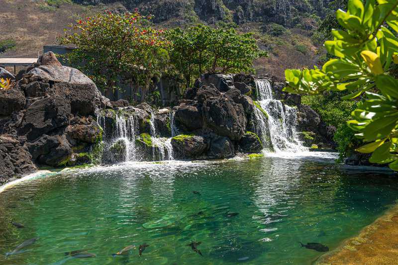 Sea Life Park in Hawaii Reef Encounter