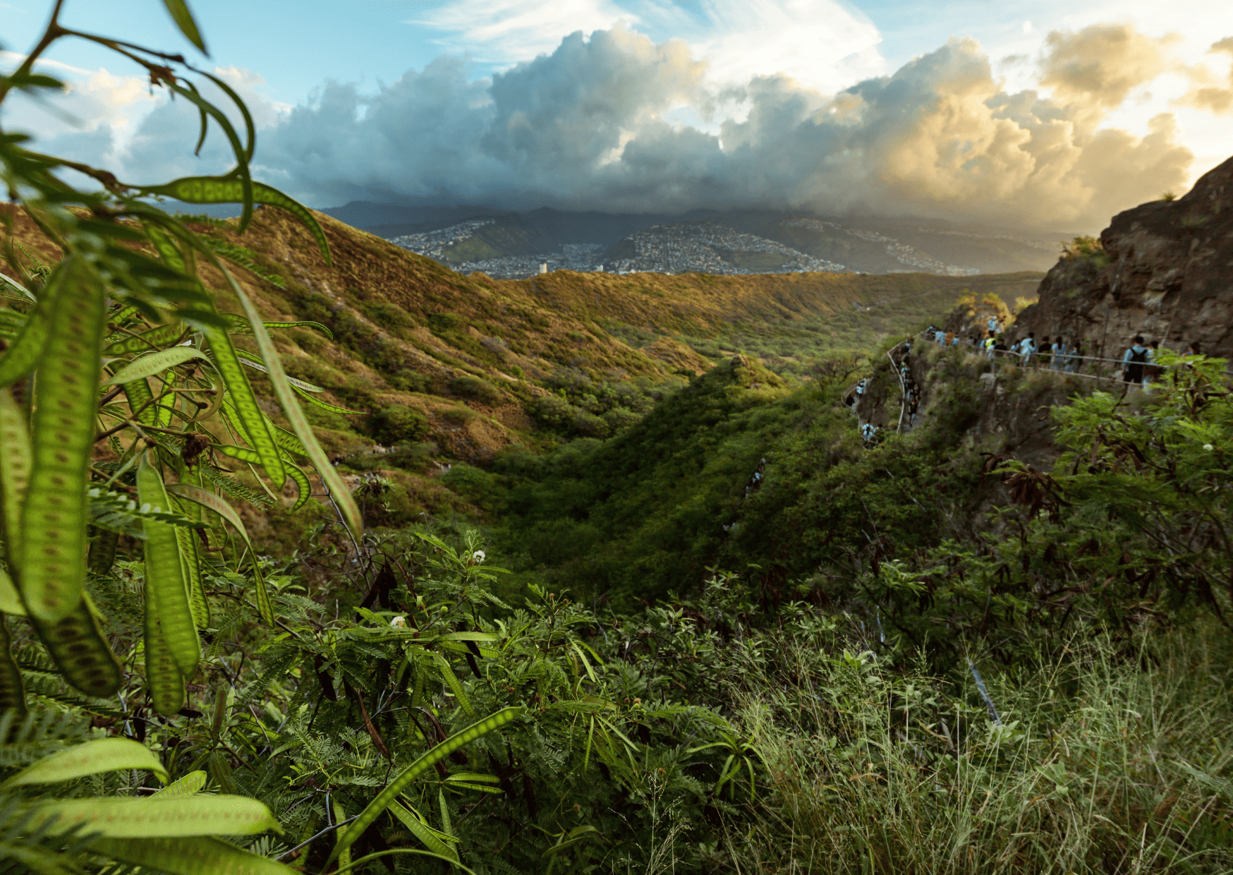 hawaii vs bahamas, bahamas vs hawaii, hawaii vs the bahamas