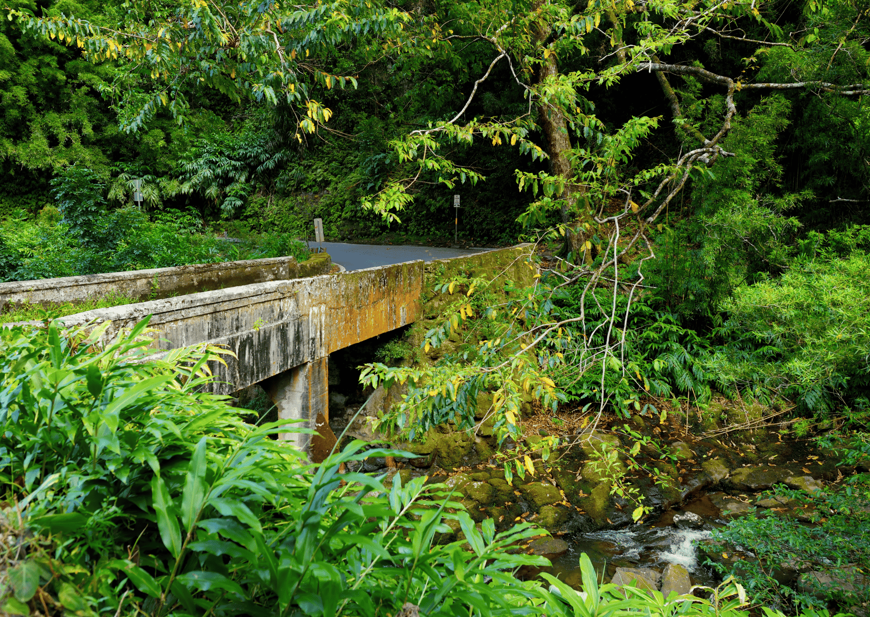 hawaii vs bahamas, bahamas vs hawaii, hawaii vs the bahamas