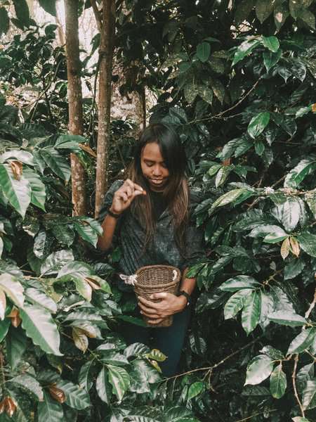 Salento Itinerary, 3 Day Itinerary in Salento, Things to Do in Salento, Things to Know Before Visiting Salento, Is Salento Worth it