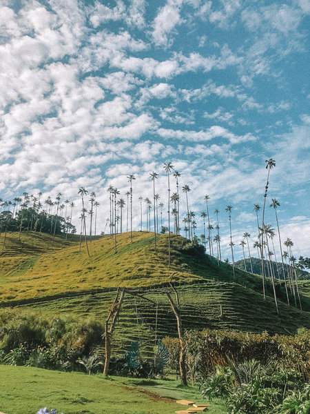 Salento Itinerary, 3 Day Itinerary in Salento, Things to Do in Salento, Things to Know Before Visiting Salento, Is Salento Worth it