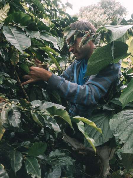 Salento Itinerary, 3 Day Itinerary in Salento, Things to Do in Salento, Things to Know Before Visiting Salento, Is Salento Worth it