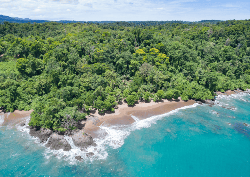 3 Week Costa Rica Itinerary: Everything to Know and Do for a Costa Rica Three Week Itinerary 5 Corcovado National Park Costa Rica - 3 Week Costa Rica Itinerary_ Everything to Know and Do for a Costa Rica Three Week Itinerary