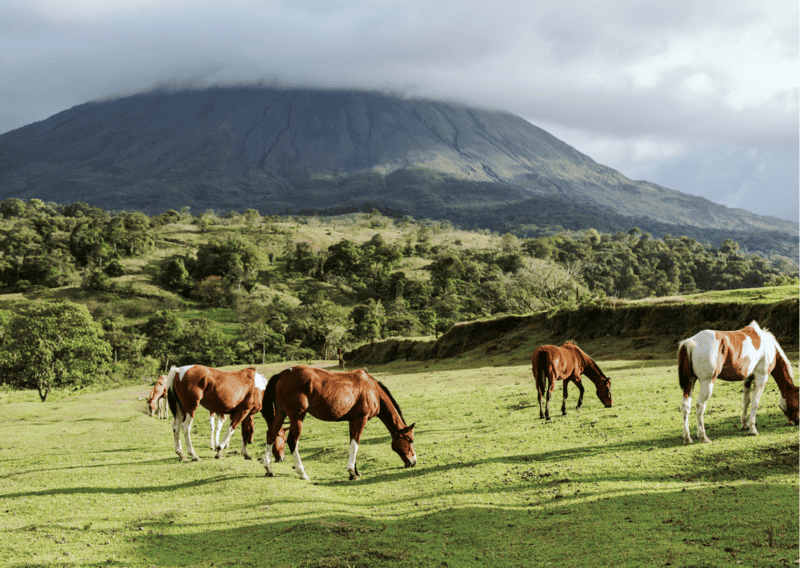 3 Week Costa Rica Itinerary: Everything to Know and Do for a Costa Rica Three Week Itinerary 4 Horses near Arenal Volcano Costa Rica - 3 Week Costa Rica Itinerary_ Everything to Know and Do for a Costa Rica Three Week Itinerary