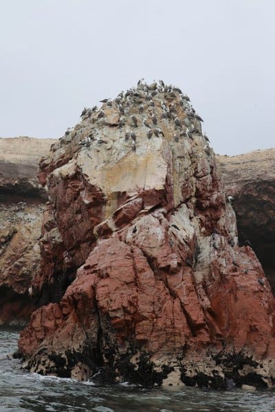 A Detailed Peru Itinerary 8 Days: Everything to Know 8 Paracas Nature Reserve