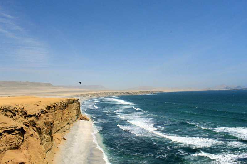 A Detailed Peru Itinerary 8 Days: Everything to Know 7 Parque Reserva Nacional De Paracas, Paracas, Peru