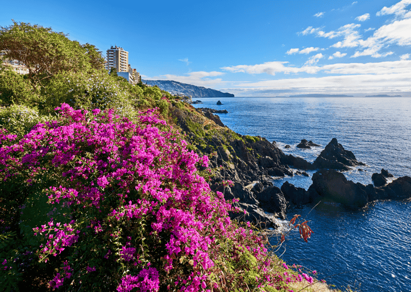 How to Plan A Trip to Europe For First-Timers, Best Places to Visit in Europe in Spring - Where to Go in Europe This Spring