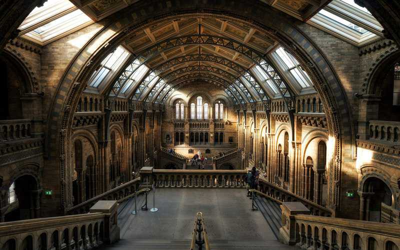 National History Museum of London Mistakes Tourists Make When Visiting London scaled