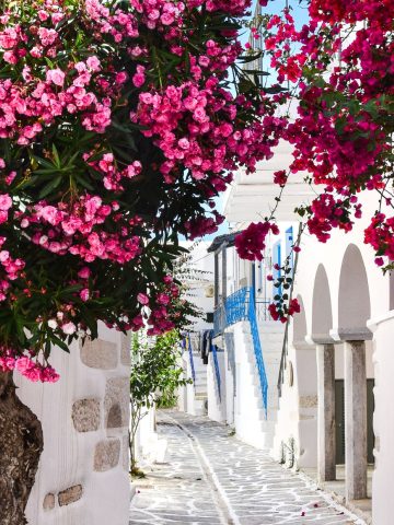 5 Amazing Greek Islands to Visit That Aren't Santorini or Mykonos, 12 Favorite Vacation Picks for Americans in 2025, Forget About Santorini and Mykonos in Greece and Visit These 13 Places Instead, How To Spend 3 Days in the Greek Islands Without Breaking the Bank, 5 Amazing Greek Islands to Visit That Aren't Santorini or Mykonos, 8 Reasons Why Not to Visit Greece And 7 Reasons To Visit, 20 Common Mistakes To Avoid In Greek Islands