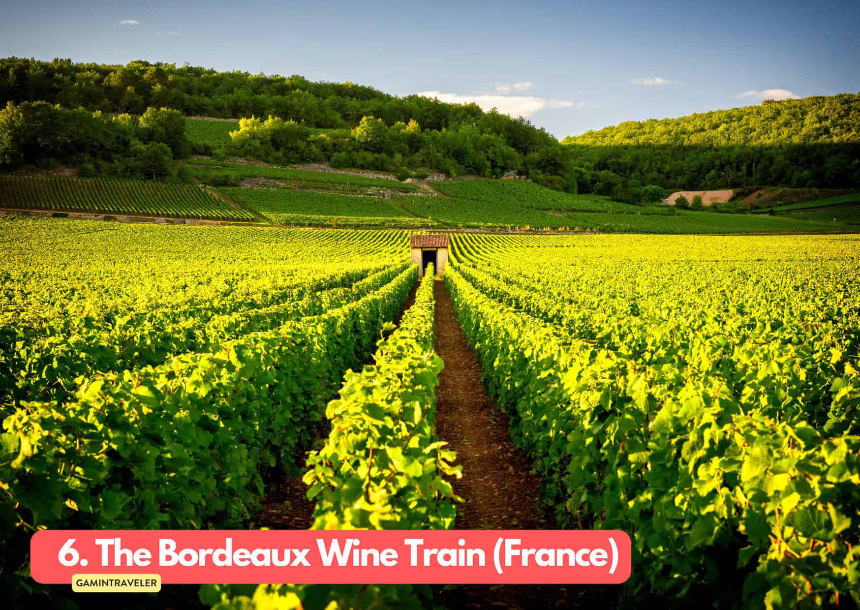 6. The Bordeaux Wine Train France Summer Train Journeys in Europe