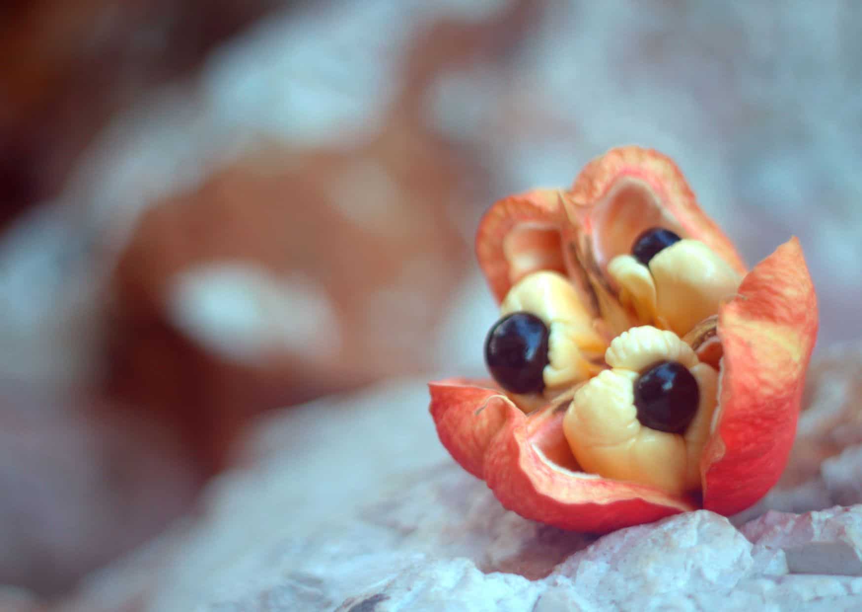 How To Make Ackee And Saltfish (Recipe Guide) Tips And Calories