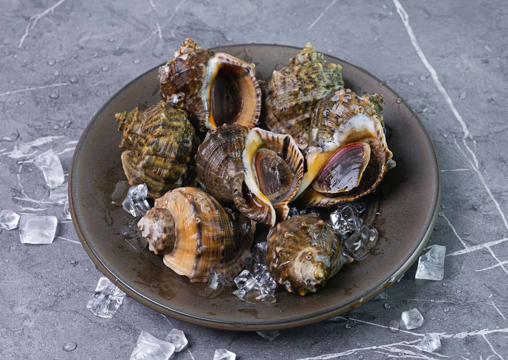 How To Make Conch Fritters (Recipe Guide) Tips And Calories