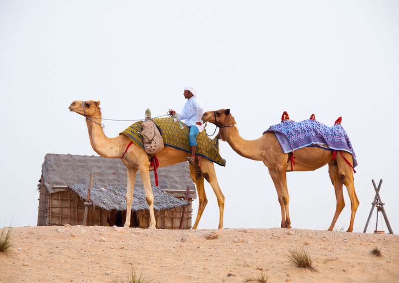 Tourist Traps to Avoid in Dubai And How to Avoid Them