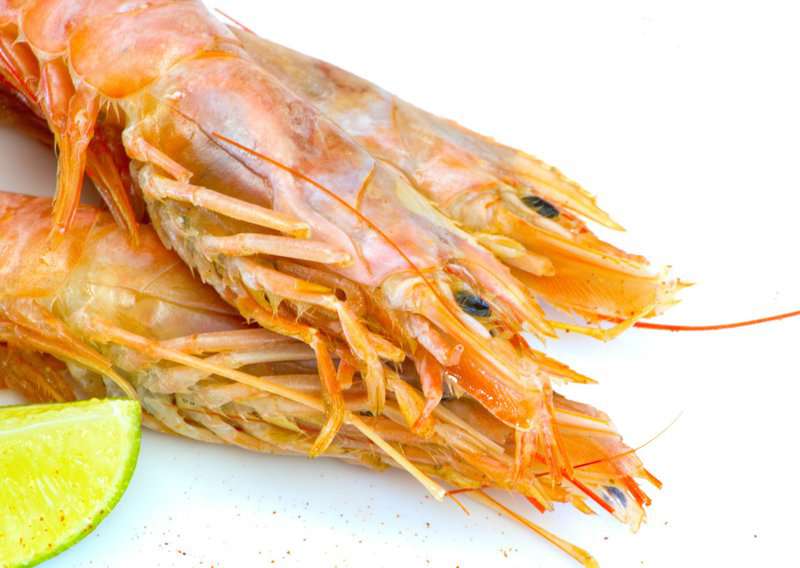 The Garlic Shrimp Dish Every Portuguese Family Swears By (And How to Make It at Home) 2 How to Make Gambas al Ajillo - Authentic Gambas al Ajillo (Recipe Guide)