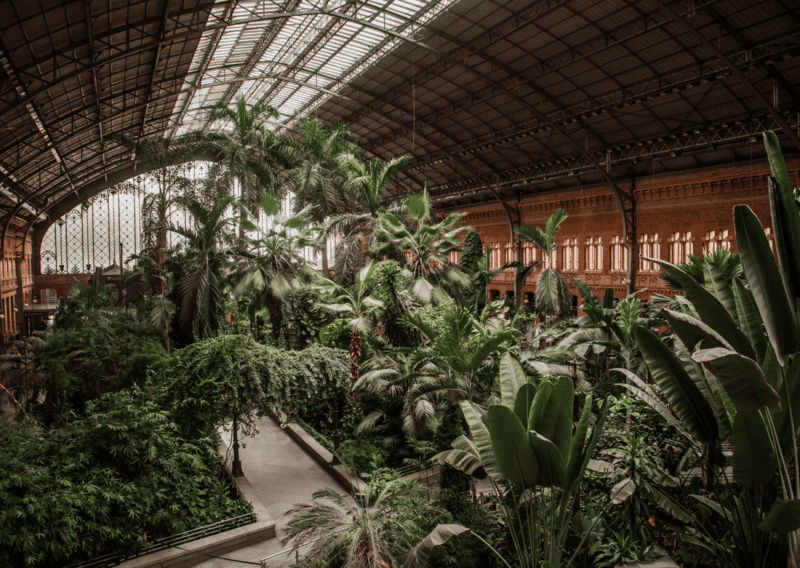 Living in Madrid for a Year Atocha Railway Station in Madrid