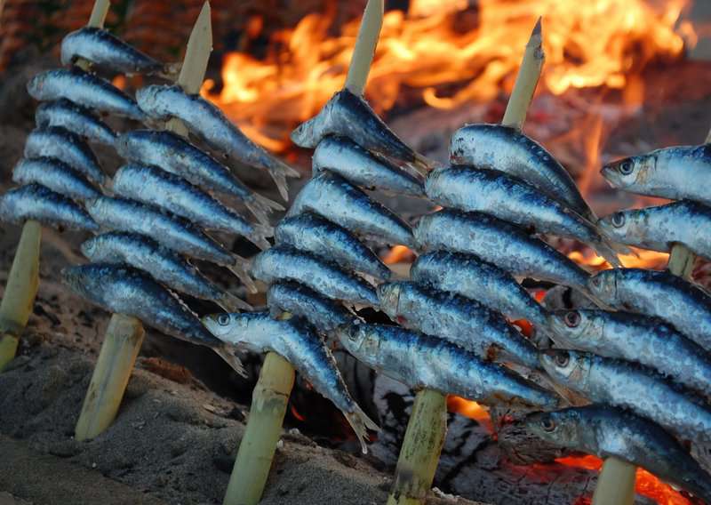 10 Common Mistakes To Avoid In Malaga And How To Avoid Them, Beautiful Places To Visit In Malaga Spain - Best Things To Do In Malaga, 6 Tourist Traps to Avoid in Malaga Spain And How to Avoid Them