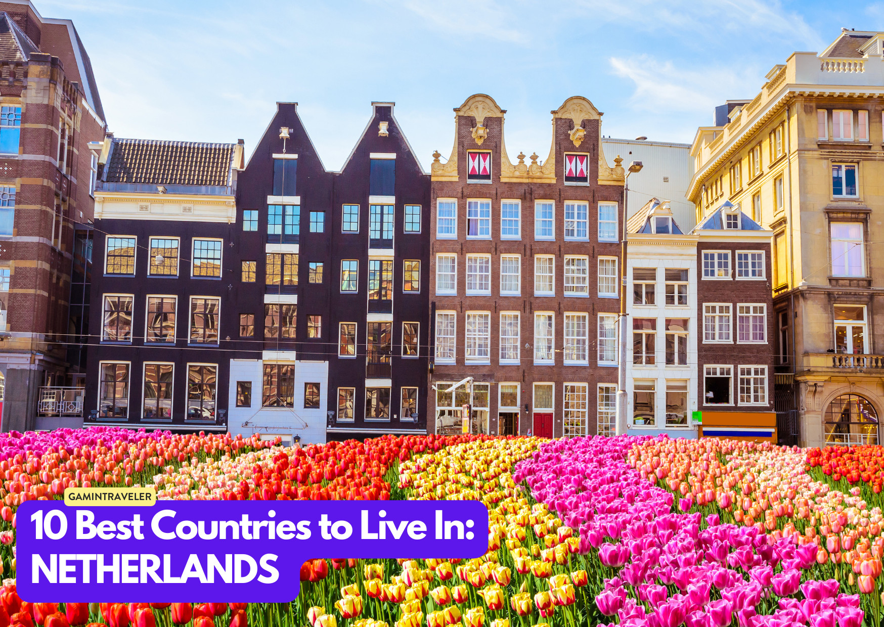 Netherlands - 10 Best Countries to Live In the World_ Where to Go in 2024