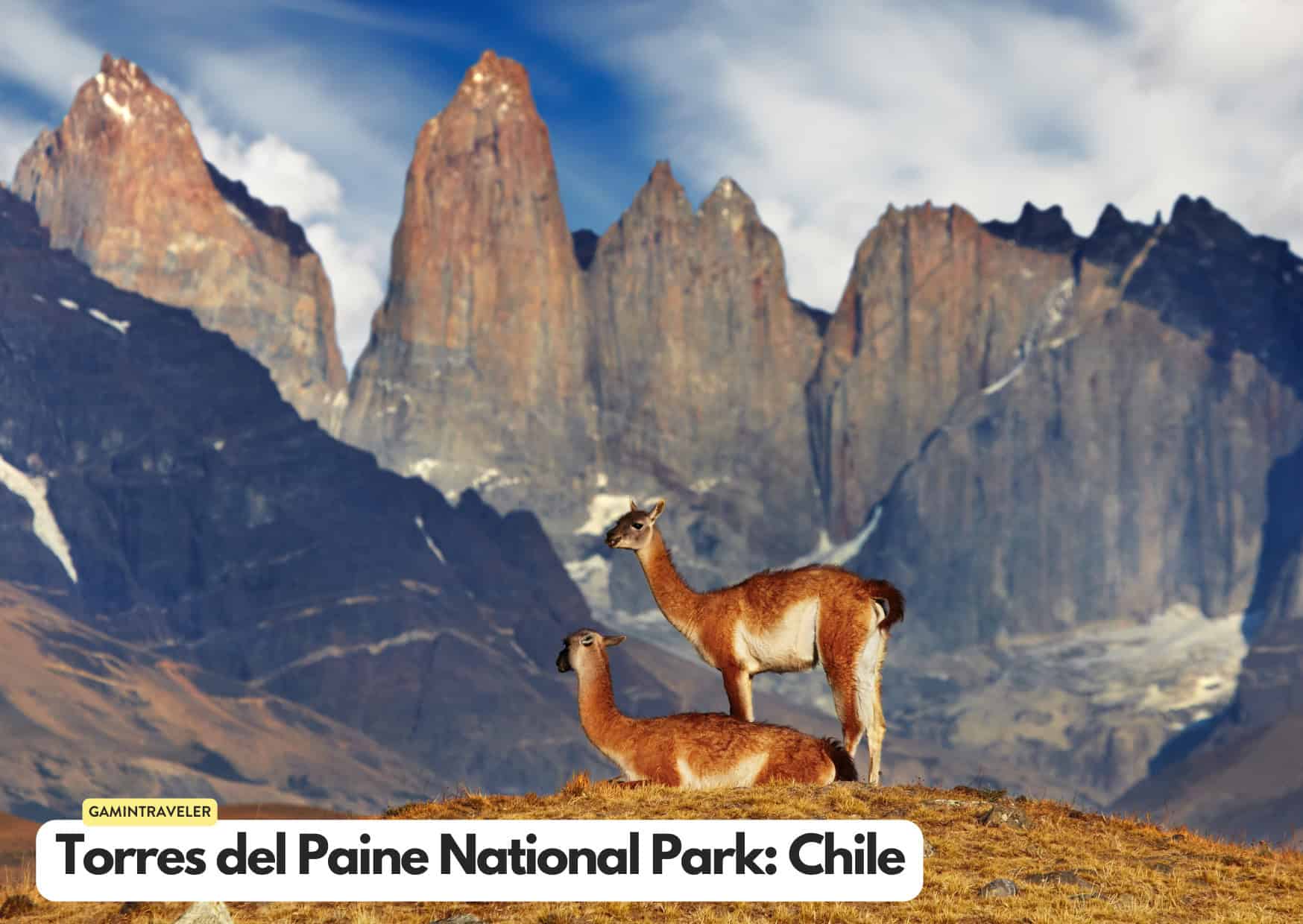 Can't Afford an African Safari? 10 Safaris Around the World Cheaper Than An African Safari 11 Torres del Paine National Park in Chile Safaris around the world
