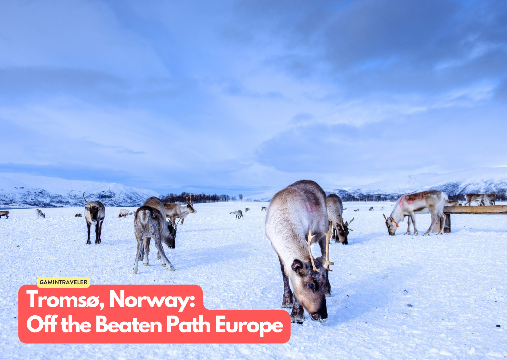 Tromsø, Norway - Off the Beaten Path Europe_ 15 Hidden Gems You Should See