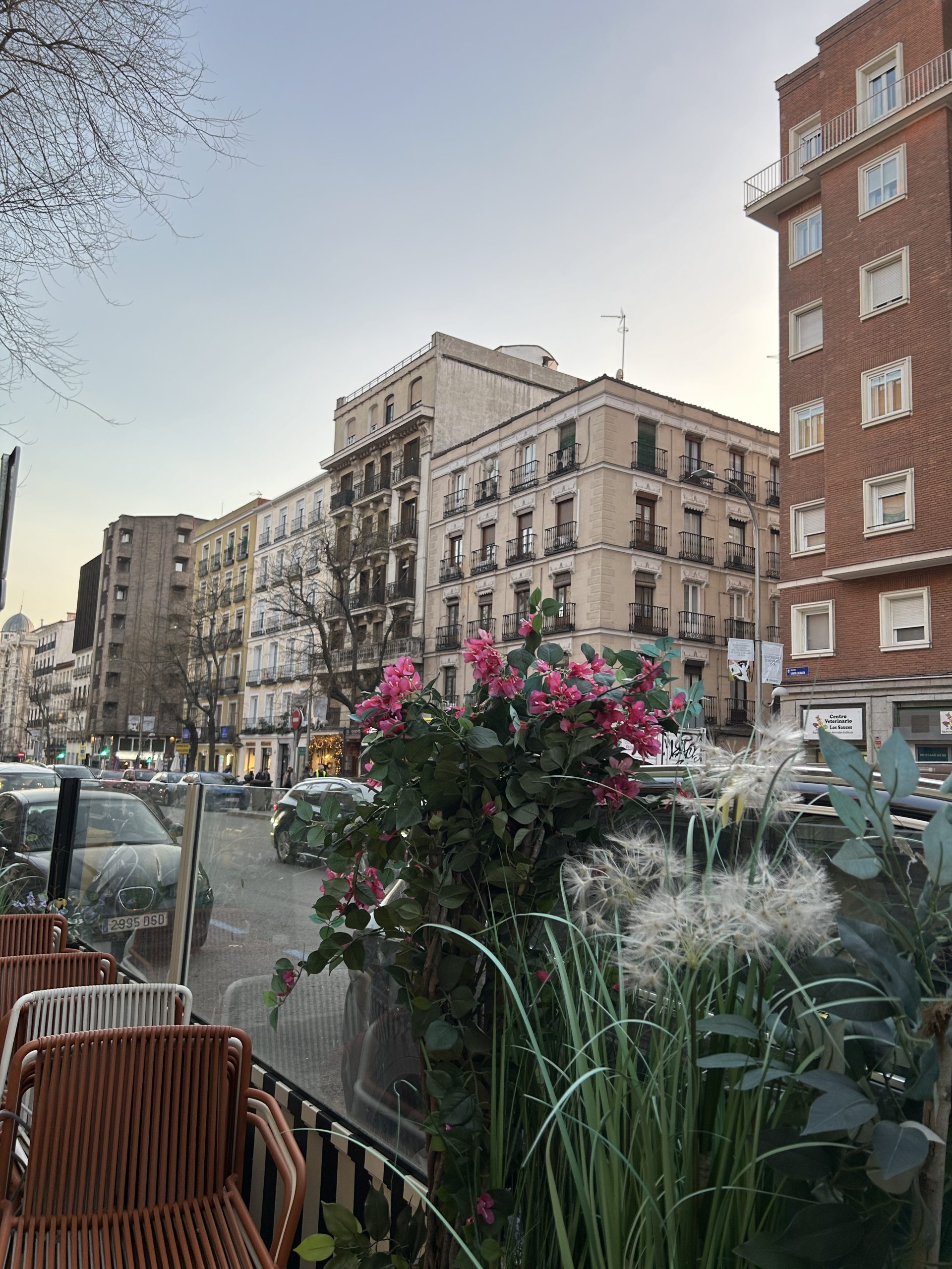 A Day in the Life of a Digital Nomad in Spain