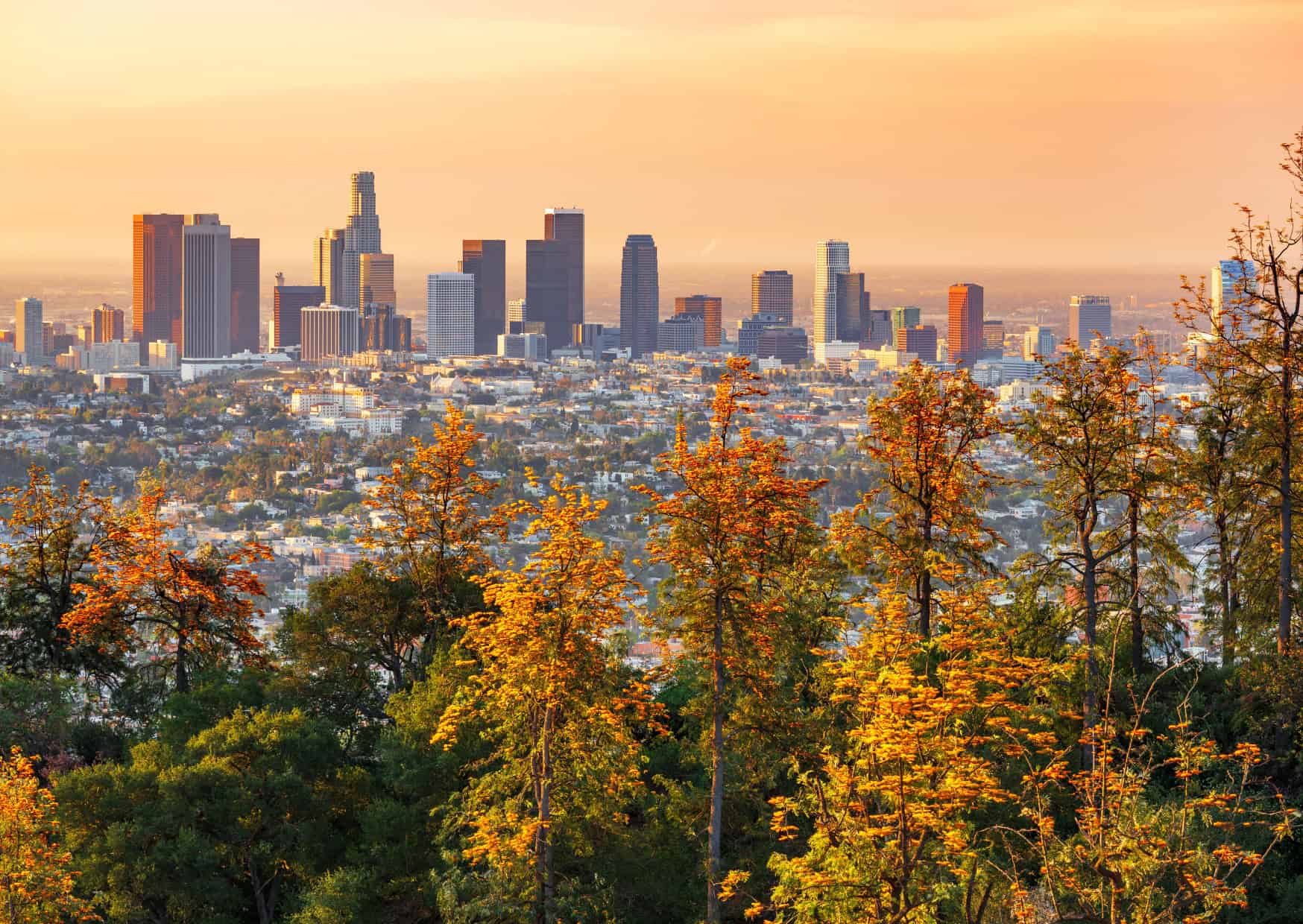 Avoid These 10 Common Mistakes Tourists Make in LA