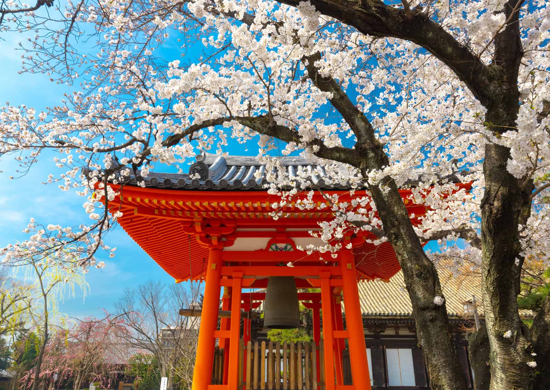 20 Top Countries in the World to Meet and Date New People: Ultimate Guide