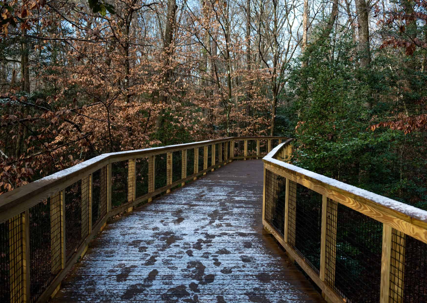 Congaree National Park South Carolina Top 10 US Hidden National Parks to Visit This Summer