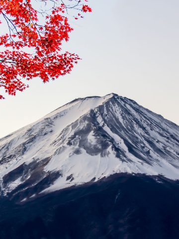 10 Best Countries to Visit in the World Right Now, Best Countries To Teach English Abroad In 2024: Top Global Destinations for Educators, 9 Essential Travel Apps For Japan