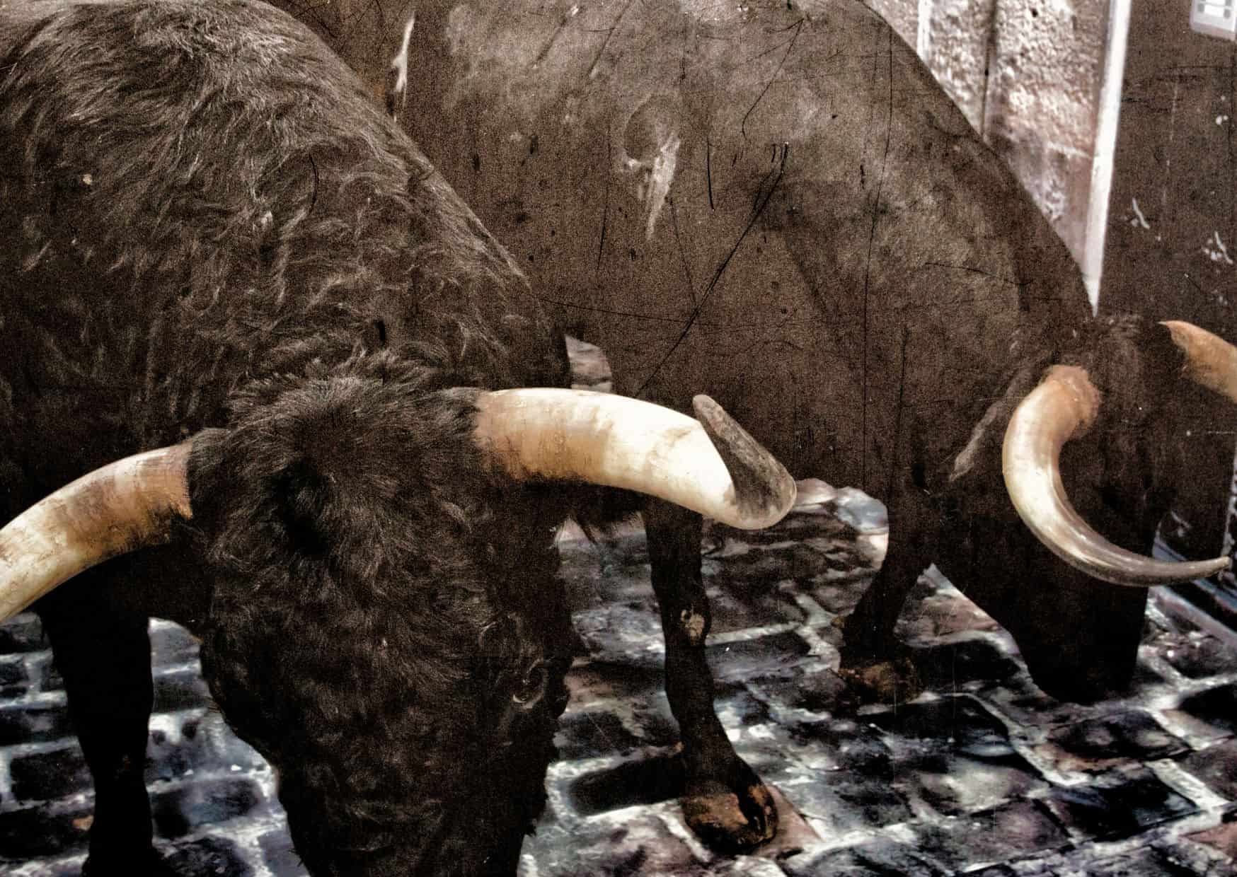 40 Quick Facts About Spain That You Didn't Know, 10 Unbelievable Experiences In Spain That You Can't-Miss, 10 Most Unbelievable Festivals In Spain, San Fermin