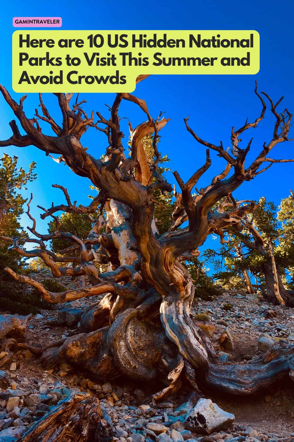 Here are 10 US Hidden National Parks to Visit This Summer and Avoid Crowds