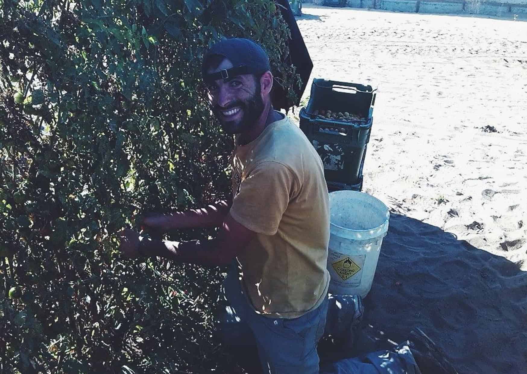 Me working in the Strawberry farm in Australia