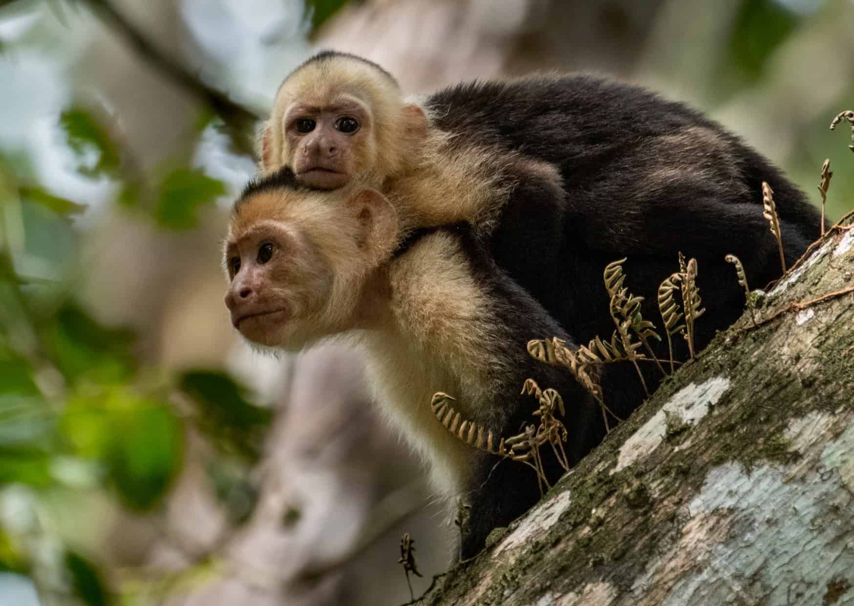 Mistakes Tourists Make in Costa Rica 