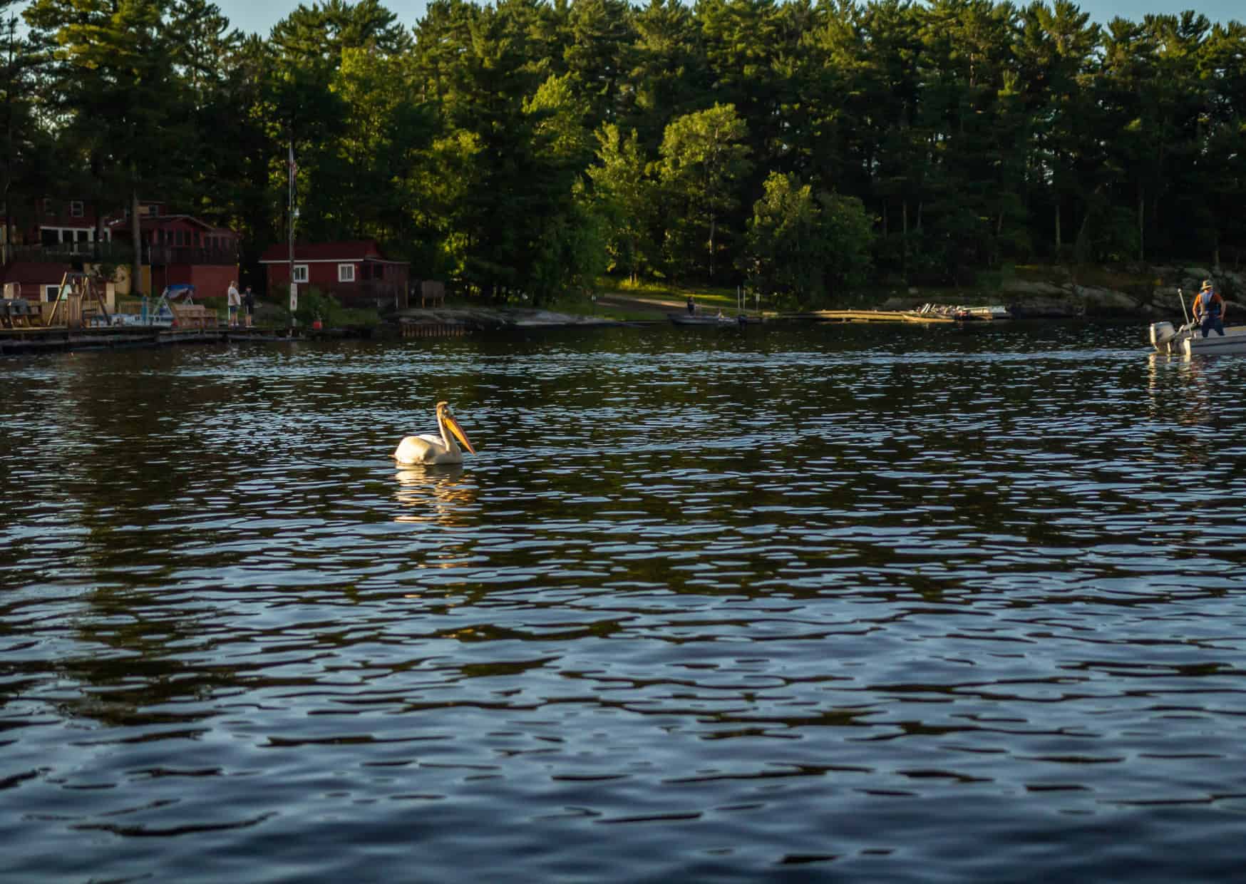 Voyageurs National Park Minnesota Top 10 US Hidden National Parks to Visit This Summer