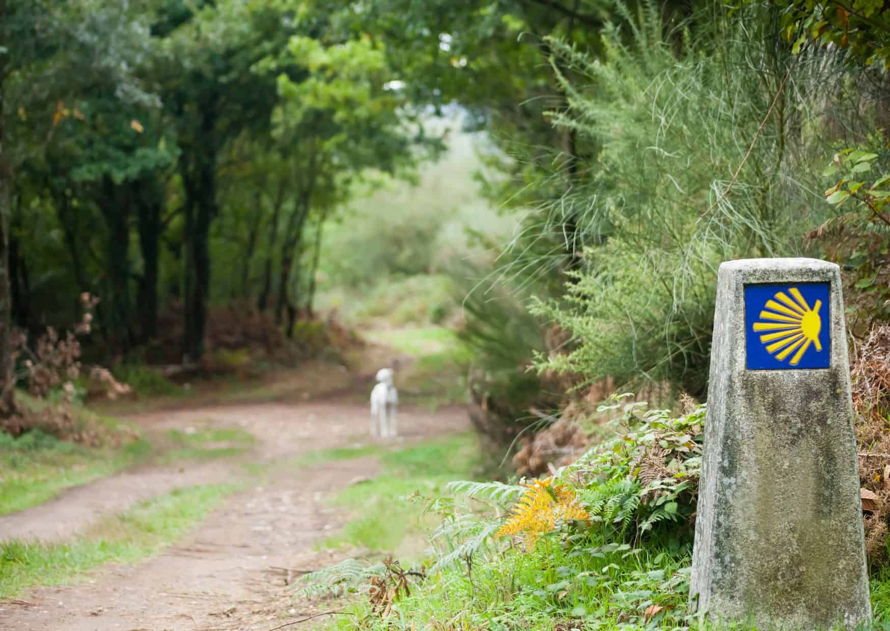 6 Epic Hikes In Europe That You Can't-Miss, 15 Common Mistakes To Avoid on the Camino de Santiago