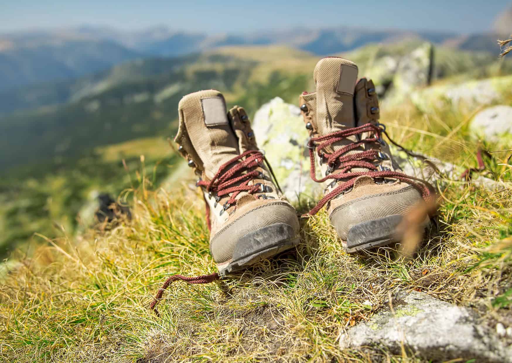 Camino de Santiago 8