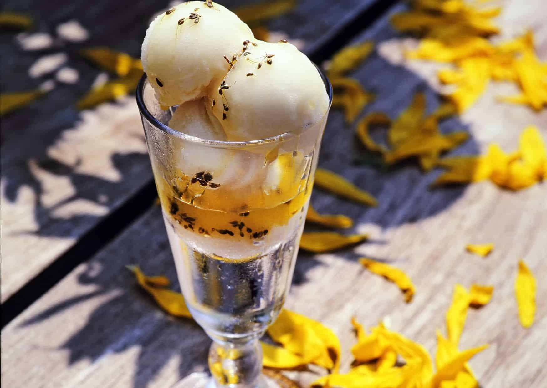 How To Make Olive Oil Ice Cream (Recipe Guide)
