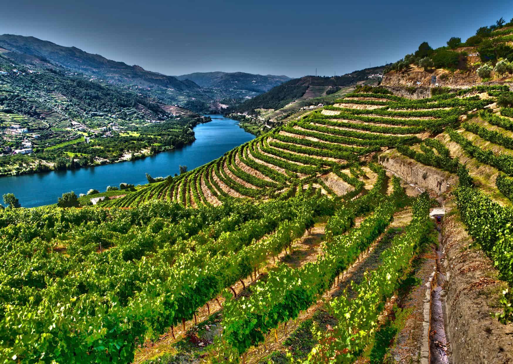 Interesting Facts About Portugal That You Didn't Know