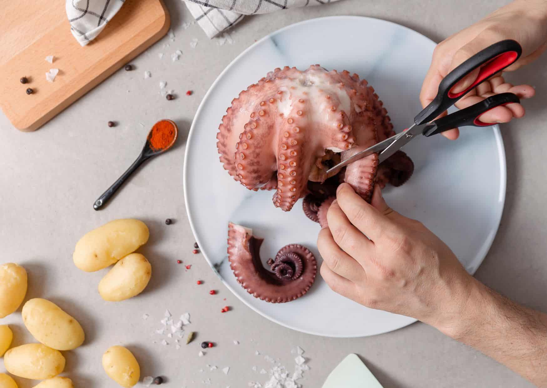 The Foolproof Spanish Octopus Recipe That Turns Anyone Into a Gourmet Cook 3 How To Make Pulpo a la Gallega Galician-Style Octopus (Recipe Guide)